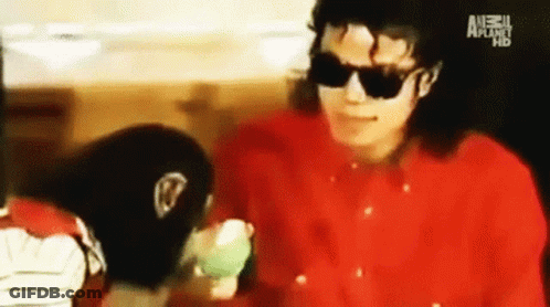 Man Talking To Monkey Wearing Red Vest 'Monkey GIF