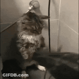 Man Talking With Because Im Dangerous GIF