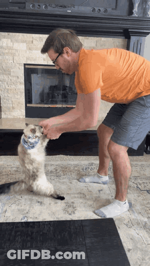 Man Teaching His Cat To Dance GIF