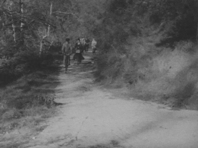 Man That Fell From Bicycle Sure Is Hurt GIF