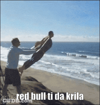 Man Throwing Another Man In Air On Beach GIF