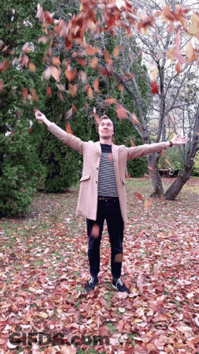 Man Throwing Leaves In Park GIF