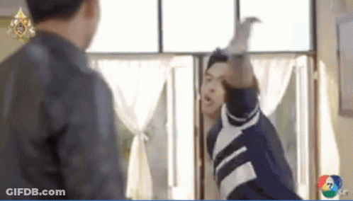Man Throwing Punch At Another By Window GIF