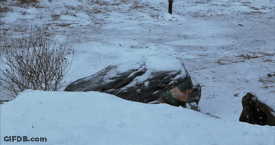 Man Throwing Snowball Fight GIF