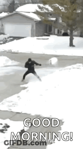 Man Throwing Snowball In Driveway GIF