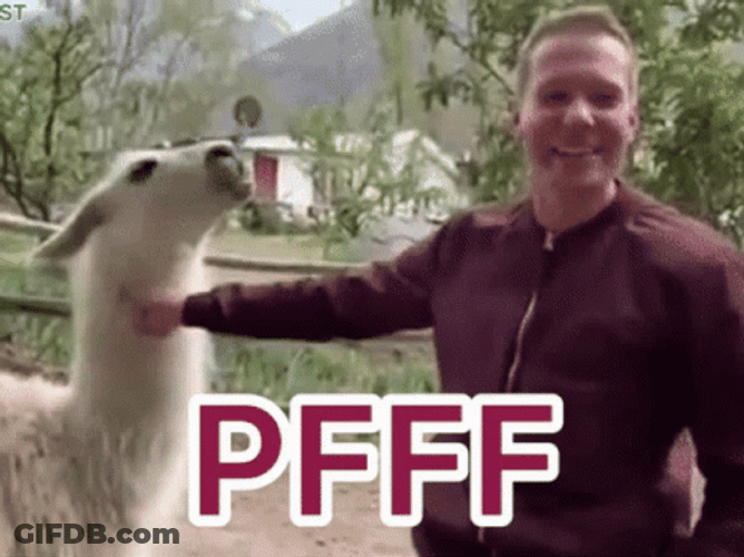 Man Tickling Llama GIF