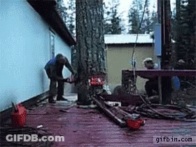 Man Using Chainsaw To Cut Tree GIF