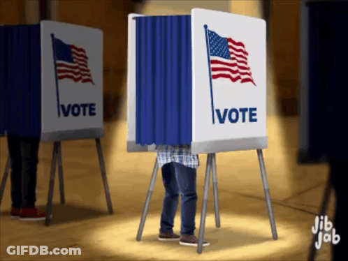 Man Voting In Booth GIF