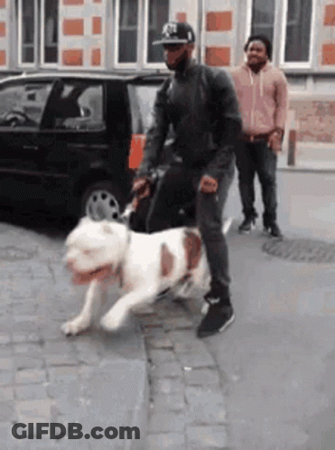 Man Walking Dog On Leash GIF