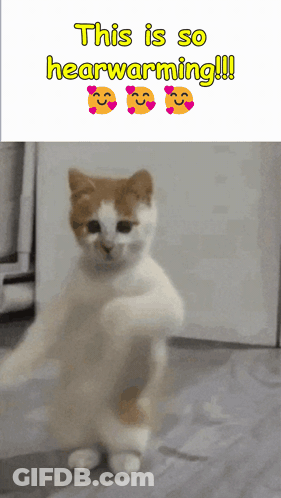 Man Walking Down Hallway Dogs And Rail Gun GIF