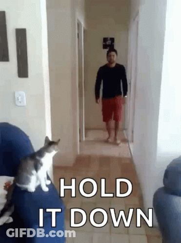 Man Walking Down Hallway While Cat Sits On Couch Saying Hold It Down GIF