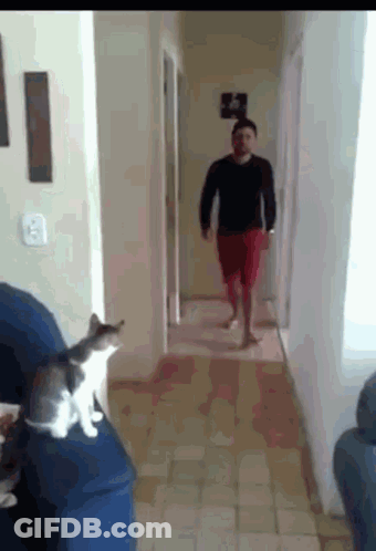 Man Walking Down Hallway With Cat GIF