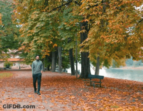 Man Walking Down Park Path With Trees And Leaves GIF