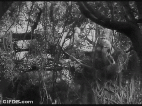 Man Walking In Cave With Vines GIF
