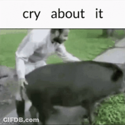 Man Walking Next To Large Black Pig GIF
