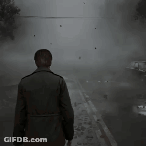 Man Walking On Foggy Street With Birds GIF
