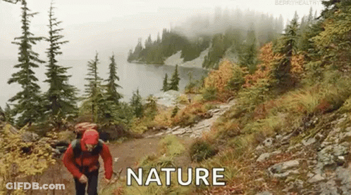 Man Walking Path In Woods Near Lake GIF