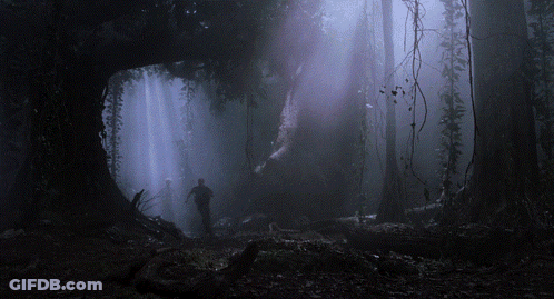 Man Walking Through Dark Forest With Purple Light GIF