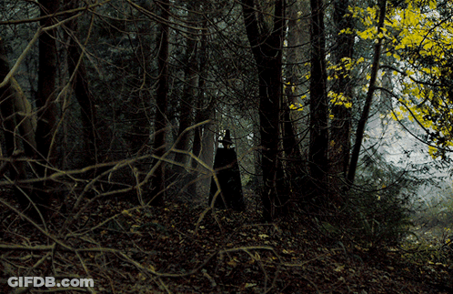 Man Walking Through Woods Wynn Find A Dollar In The Woods GIF