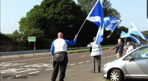 Man Walking With Blue Flag G GIF