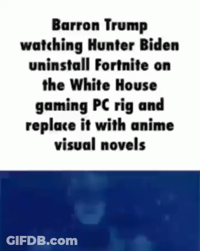 Man Watching Hunter Biden Uninstall Fortnite At White House GIF