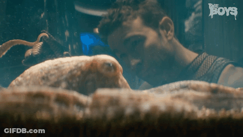 Man Watching Octopus In Aquarium GIF