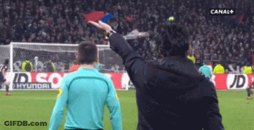 Man Waving Flag On Soccer Field GIF