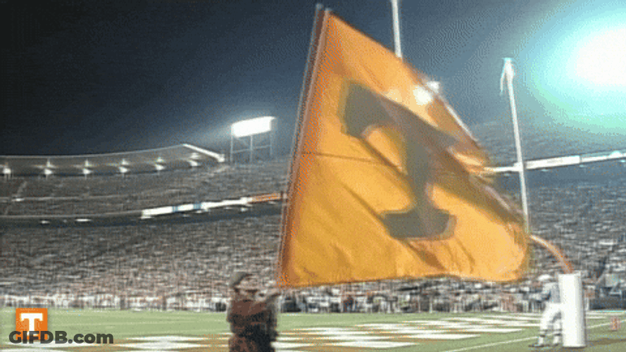 Man Waving Giant Flag Of Rocky Top GIF