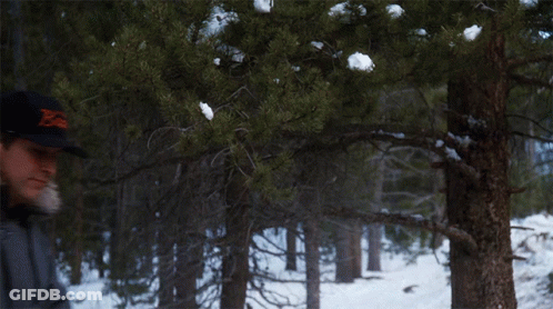 Man Wearing Bears Hat GIF