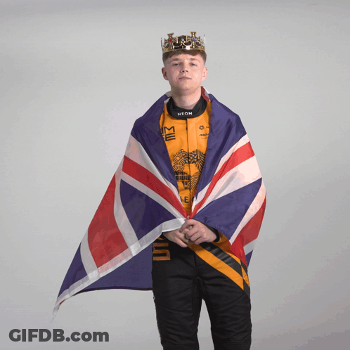 Man Wearing Crown Holds Flag GIF