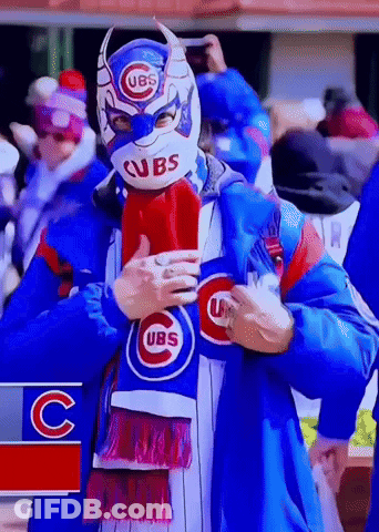 Man Wearing Cubs Mask And Scarf GIF