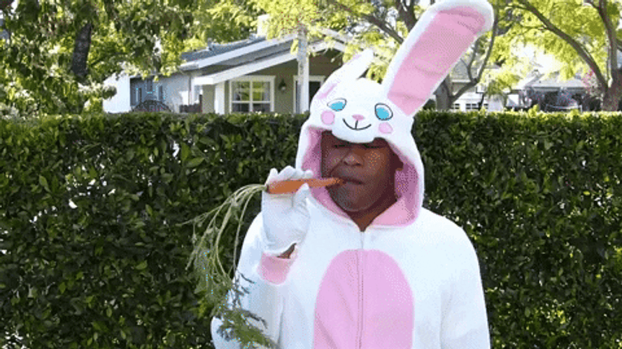 Man Wearing Easter Bunny Costume Eating Carrot GIF