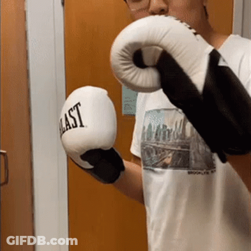 Man Wearing Everlast Boxing Gloves GIF