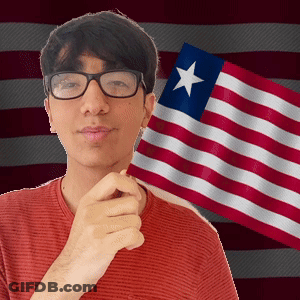 Man Wearing Glasses Holding American Flag GIF