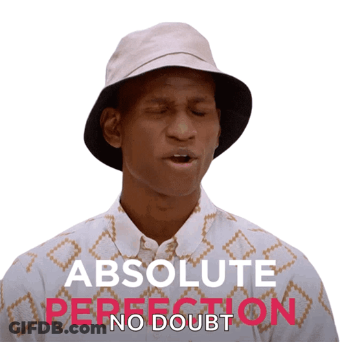 Man Wearing Hat And Absolute Perfection Shirt GIF