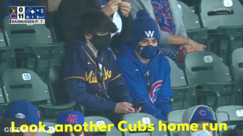 Man Wearing Hat Watching Baseball GIF