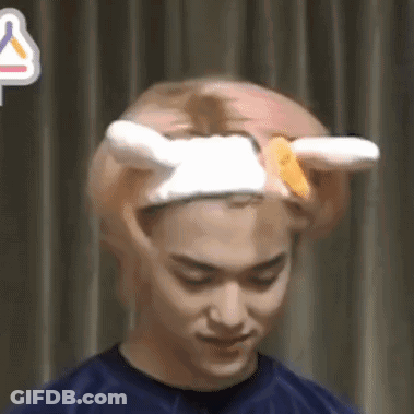 Man Wearing Hat With Bunny Ears GIF