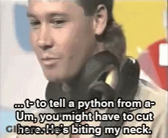 Man Wearing Headphones Talking About Python GIF