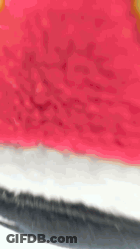 Man Wearing Hello David Name Tag GIF