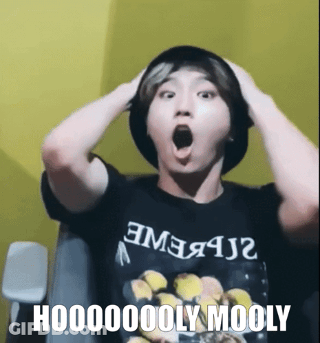 Man Wearing Hooooly Mooly Shirt GIF