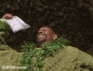 Man Wearing Lei Holding Bag Of Weed GIF