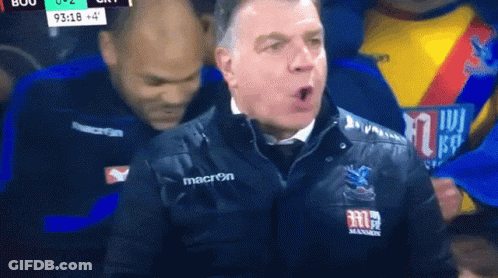 Man Wearing Macron Jacket GIF