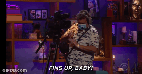 Man Wearing Mask Says Fins Up Baby GIF