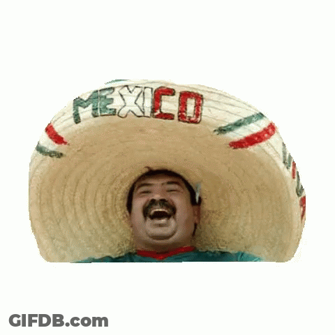 Man Wearing Mexico Sombrero GIF