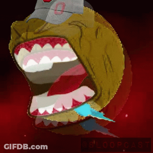 Man Wearing Ohio State Hat GIF