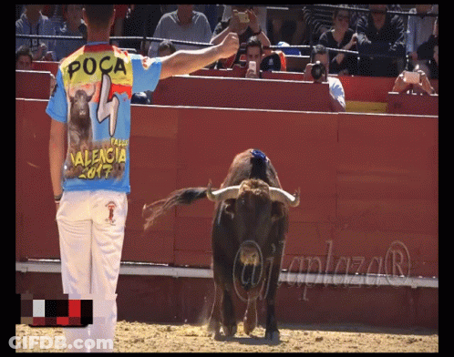 Man Wearing Poca Shirt GIF