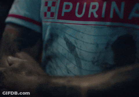 Man Wearing Purina Shirt GIF