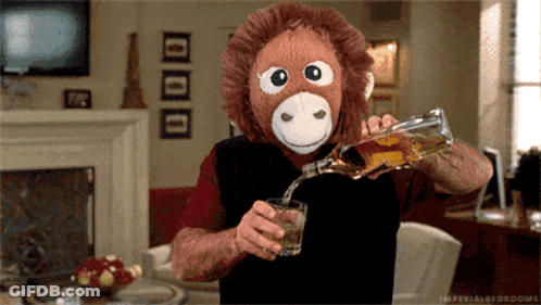 Man Wearing Stuffed Monkey Mask Pouring Liquor GIF