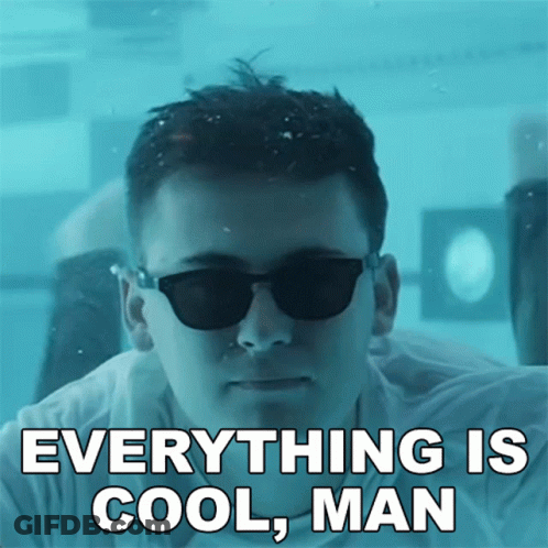 Man Wearing Sunglasses Everything Is Cool GIF