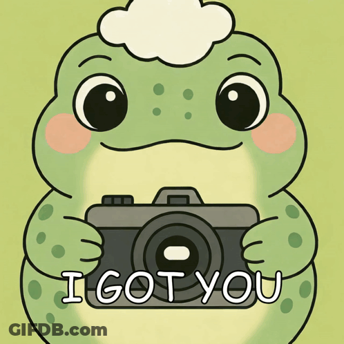 Man Wearing Sunglasses Holding Camera GIF